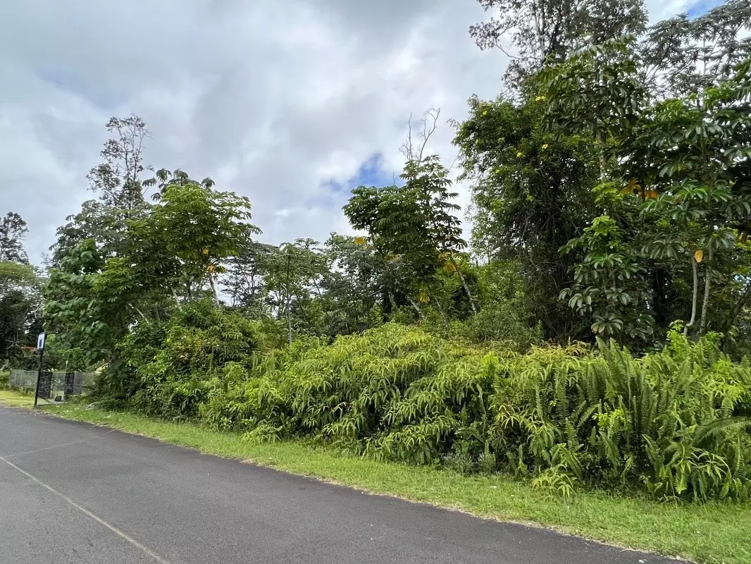 Pahoa, HI 96778,ANTHURIUM DR