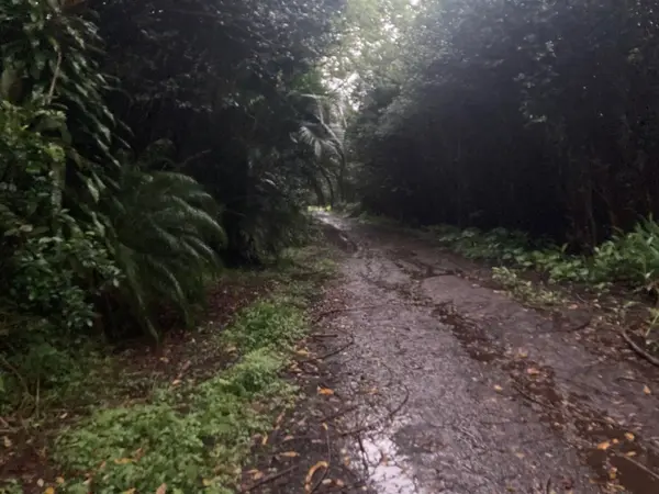 MOLOKAI ST, Pahoa, HI 96778