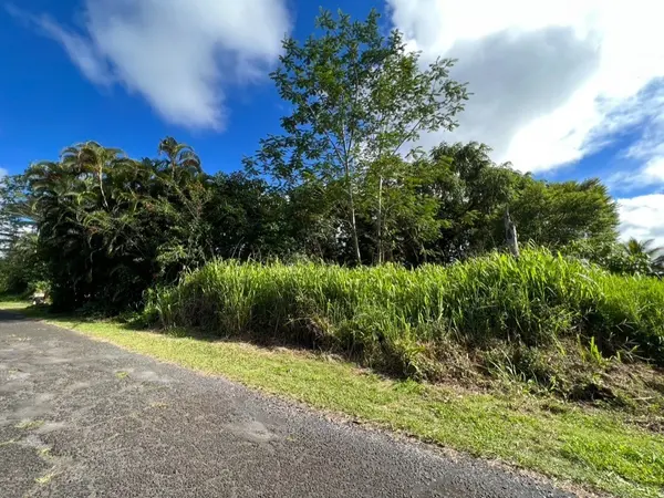 Pahoa, HI 96778,N KAWAKAWA ST