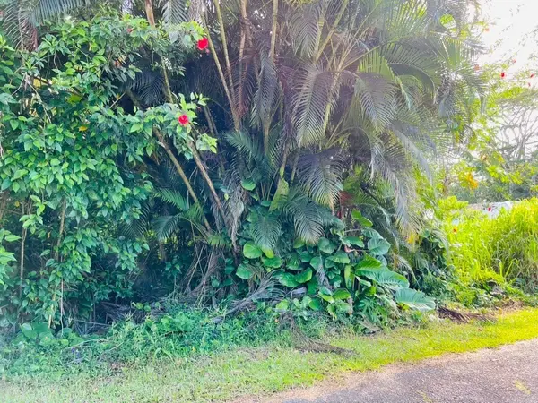 Pahoa, HI 96778,N KAWAKAWA ST