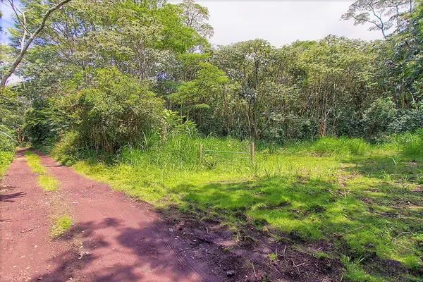 Pahoa, HI 96778,PUUA-KAPOHO RD