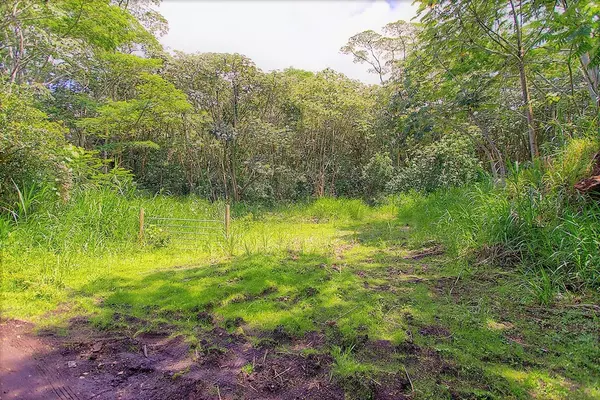 Pahoa, HI 96778,PUUA-KAPOHO RD