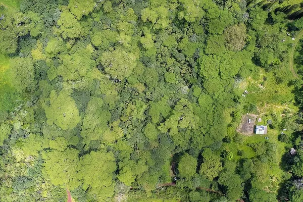 Pahoa, HI 96778,PUUA-KAPOHO RD