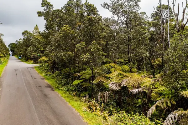 Volcano, HI 96785,11-3894 LIONA ST