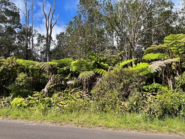 Volcano, HI 96785,11-3894 LIONA ST