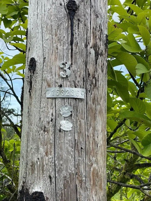 Kurtistown, HI 96760,16-1930 ALOHA CT