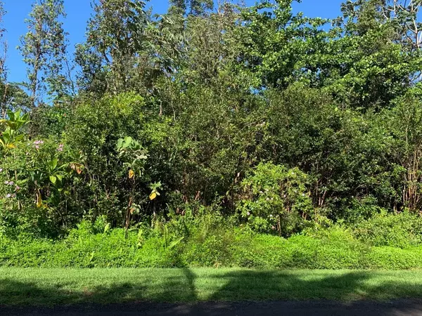 N AU ST, Pahoa, HI 96778