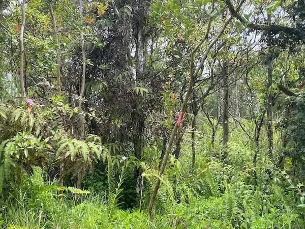 Kurtistown, HI 96760,UILANI DR