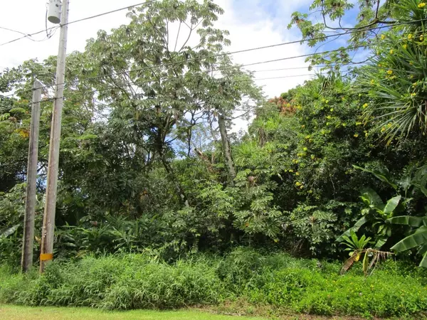 S MOANA ST, Pahoa, HI 96778