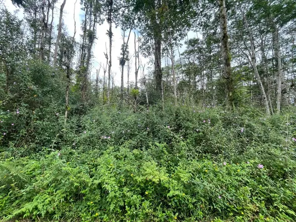 LANAI RD, Pahoa, HI 96778