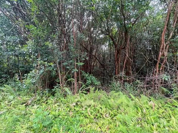 LANAI ST, Pahoa, HI 96778