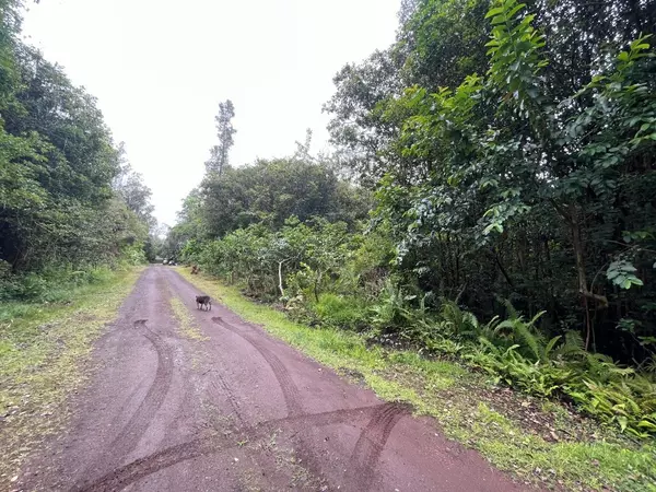 Pahoa, HI 96778,LANAI ST