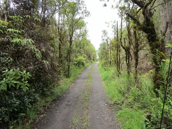 Volcano, HI 96785,ROAD 9