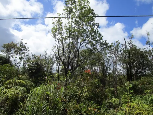 KALEPONI DR, Volcano, HI 96785