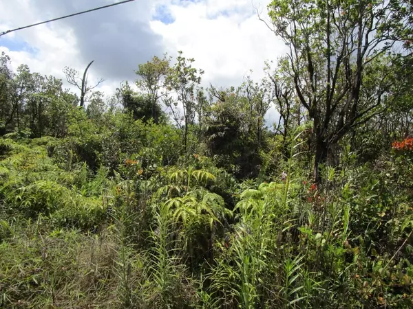 Volcano, HI 96785,KALEPONI DR