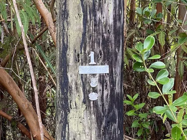 Kurtistown, HI 96760,KOLOA MAOLI RD (ROAD 9)