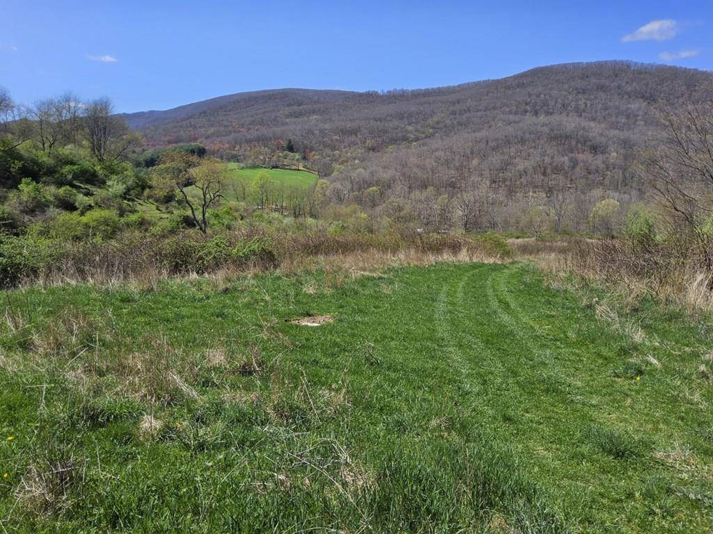 Bastian, VA 24314,TBD Clear Fork Creek Road