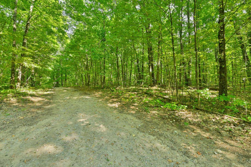 Frontenac, ON K0H 1K0,1083 Lindey LN