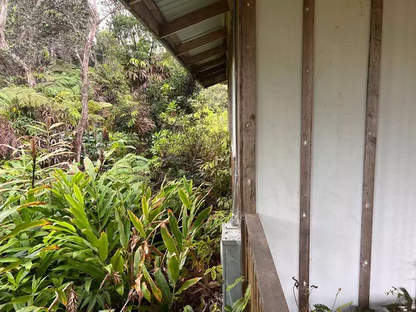 Volcano, HI 96785,11-3973 LIONA ST