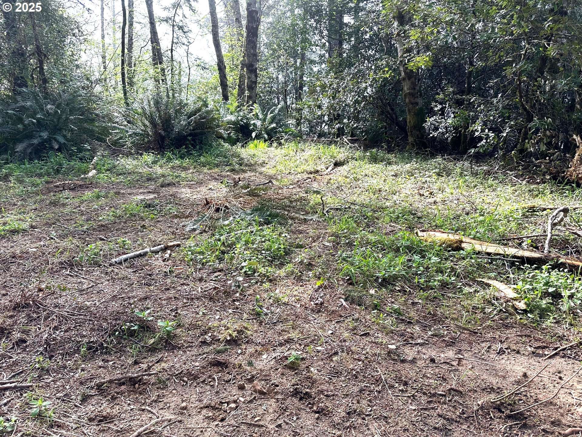 Brookings, OR 97415,Mountain DR