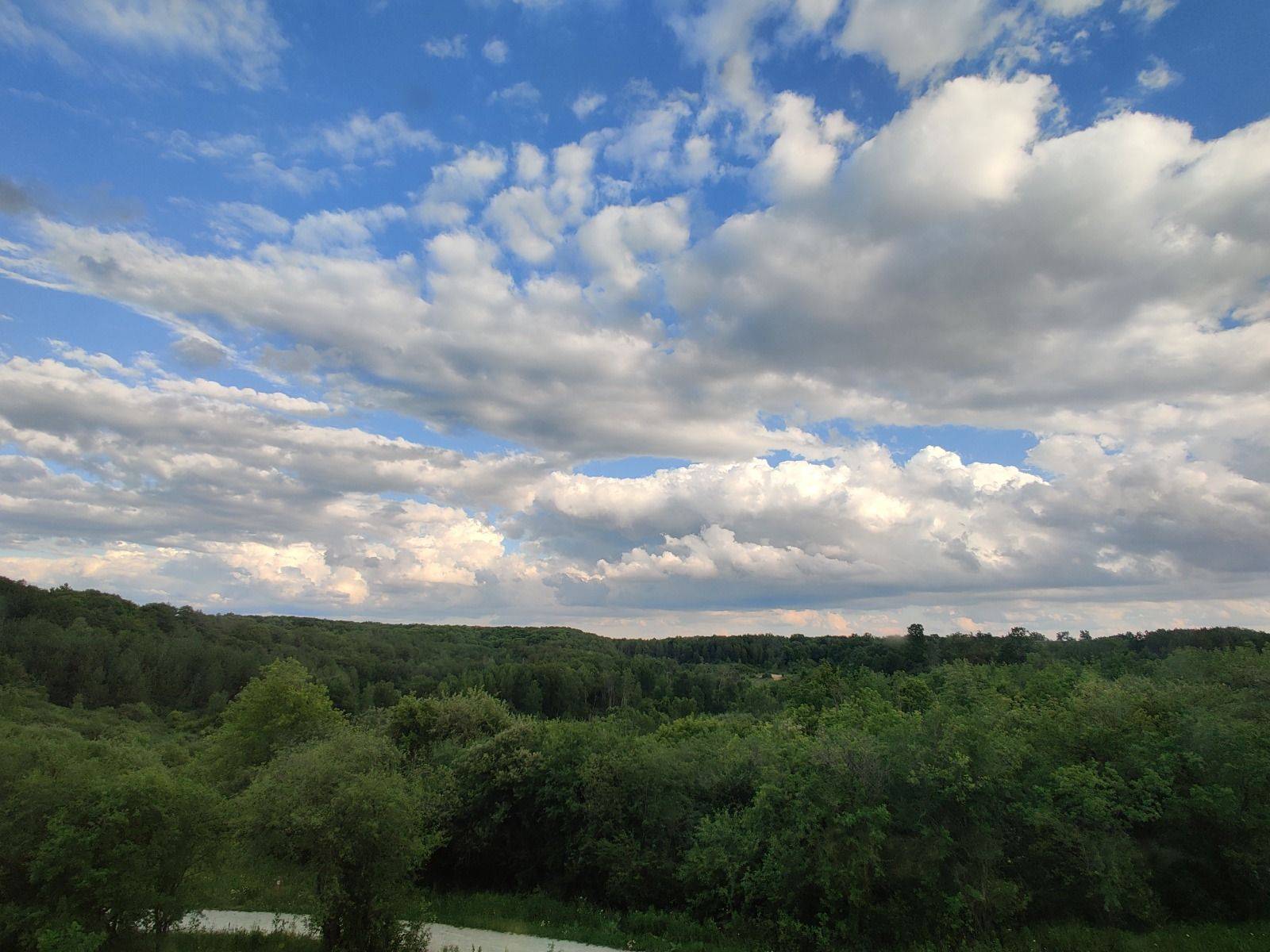 Richmond Hill, ON L4E 1C5,109 Anchusa DR