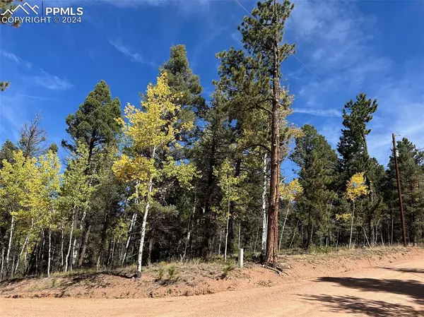 Florissant, CO 80816,643 Pinewood RD