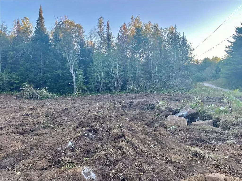 Tudor And Cashel, ON K0K 1Y0,0 Stoney Settlement RD