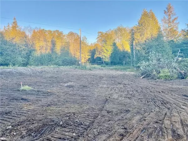 Tudor And Cashel, ON K0K 1Y0,0 Stoney Settlement RD