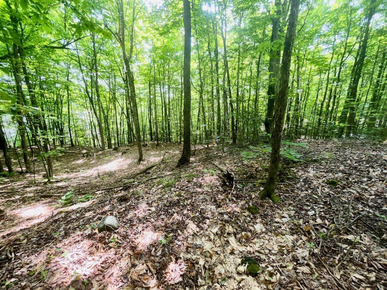 Minden Hills, ON K0M 2K0,PTLT 14 SILVERWOOD RD
