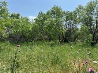 Early, TX 76802,401 Old Comanche Road