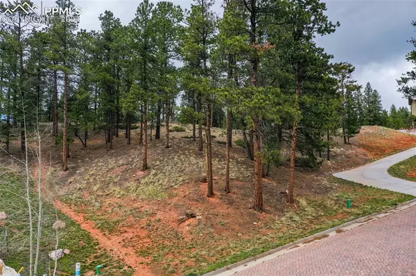Woodland Park, CO 80863,270 Thunder Ridge DR