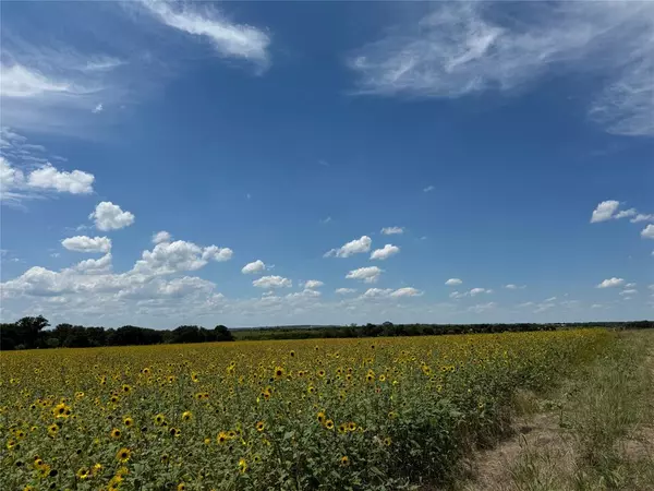 Indian Gap, TX 76531,TBD FM 218 W
