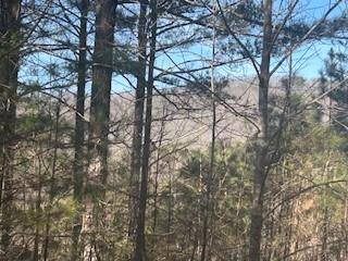 LOT9 Pinehurst Road, Blairsville, GA 30512
