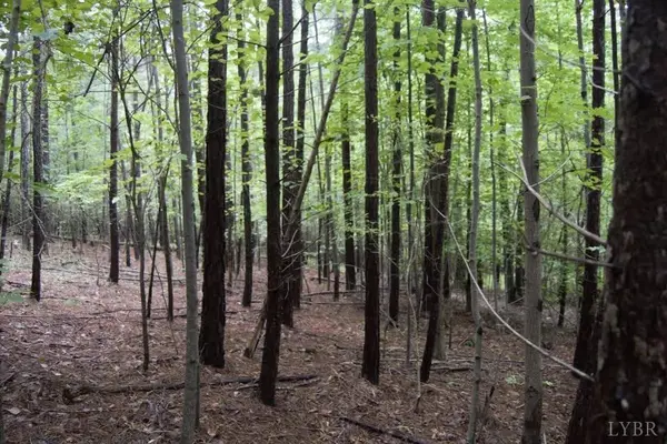 Lynch Station, VA 24571,0 Mount Airy RD