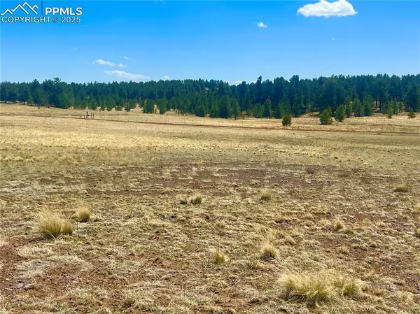 Guffey, CO 80820,90 Meadow LN