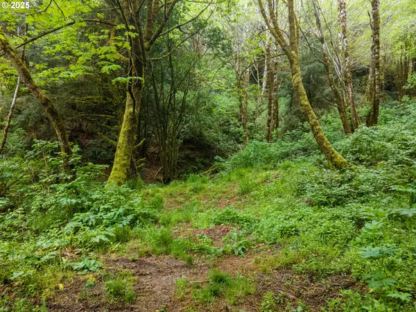 Port Orford, OR 97465,Elk River Rd.