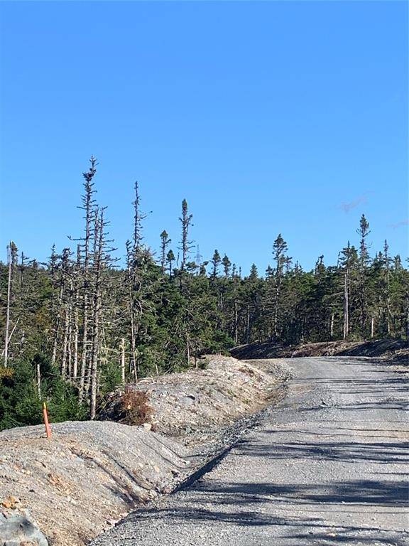 Brigus Junction, NL A0B 1G0,Lot 27 Halleran Trail