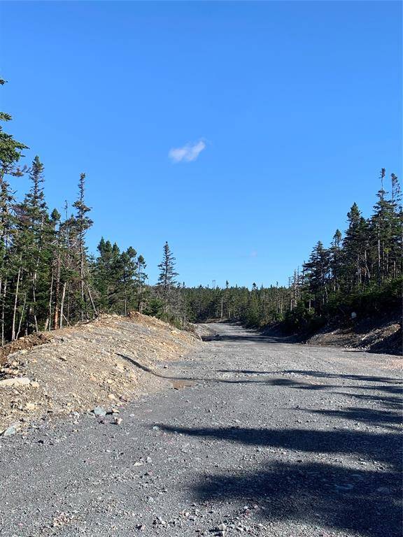 Brigus Junction, NL A0B1G0,LOT 5 Halleran Trail