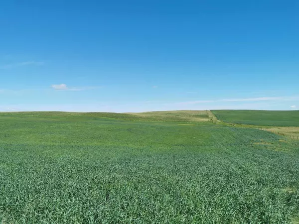 Del Bonita, AB T0K0S0,Near Hwy 501 E