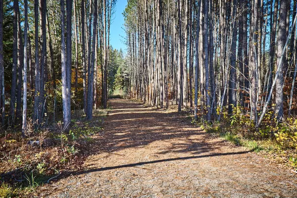 Huntsville, ON P1H 2J4,1304 OLD NORTH RD