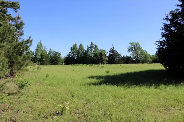 Gilmer, TX 75644,TBD Ginger Rd, Tract 3-16.75 Ac