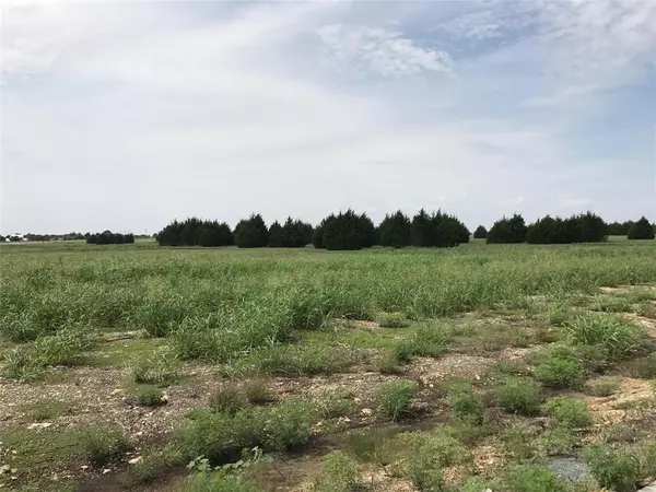 1310 Carroll Moran Trail, Midlothian, TX 76065