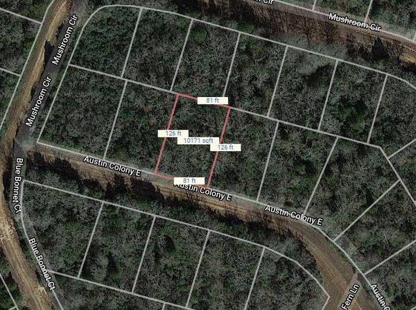 Lot 51 E Austin Colony, Normangee, TX 77871