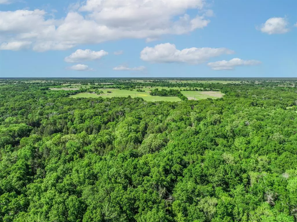 Sulphur Springs, TX 75482,TBD County Road 4700