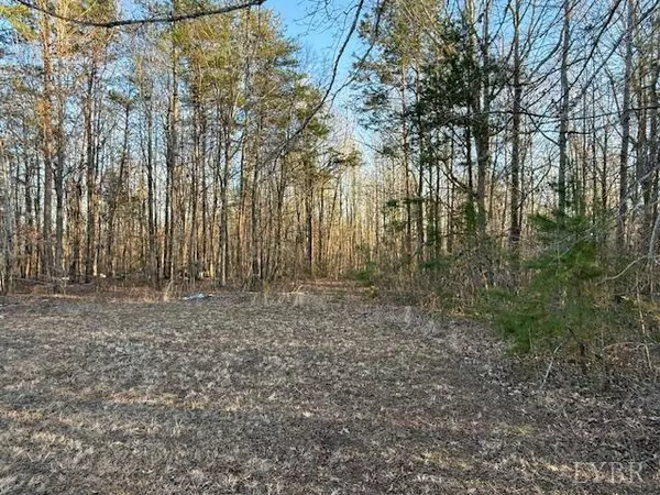 Clover, VA 24534,2123 Reverend Coleman RD