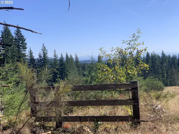 Camas, WA 98607,NE 94th ST