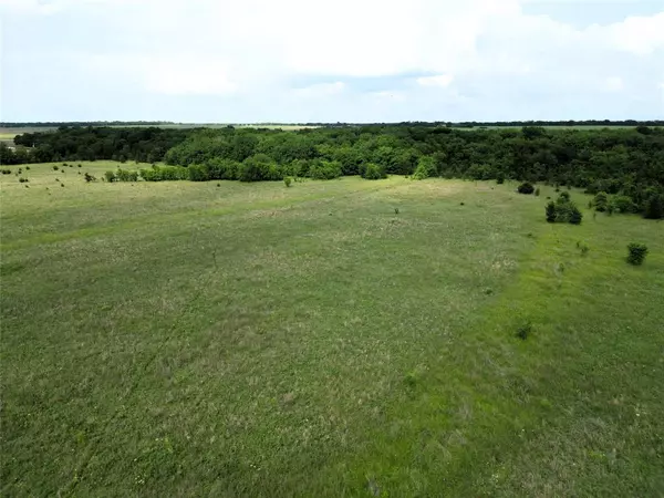 Greenville, TX 75401,30Ac Fm-118