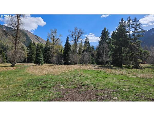 Lostine, OR 97857,Fir RD