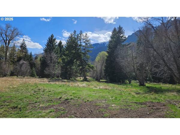 Lostine, OR 97857,Fir RD