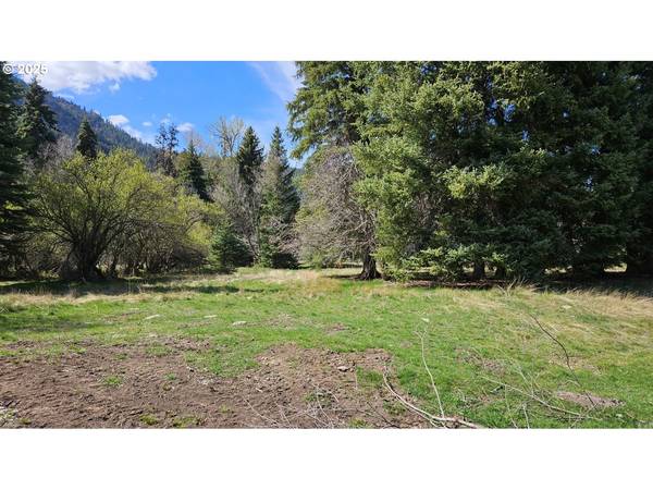 Lostine, OR 97857,Fir RD